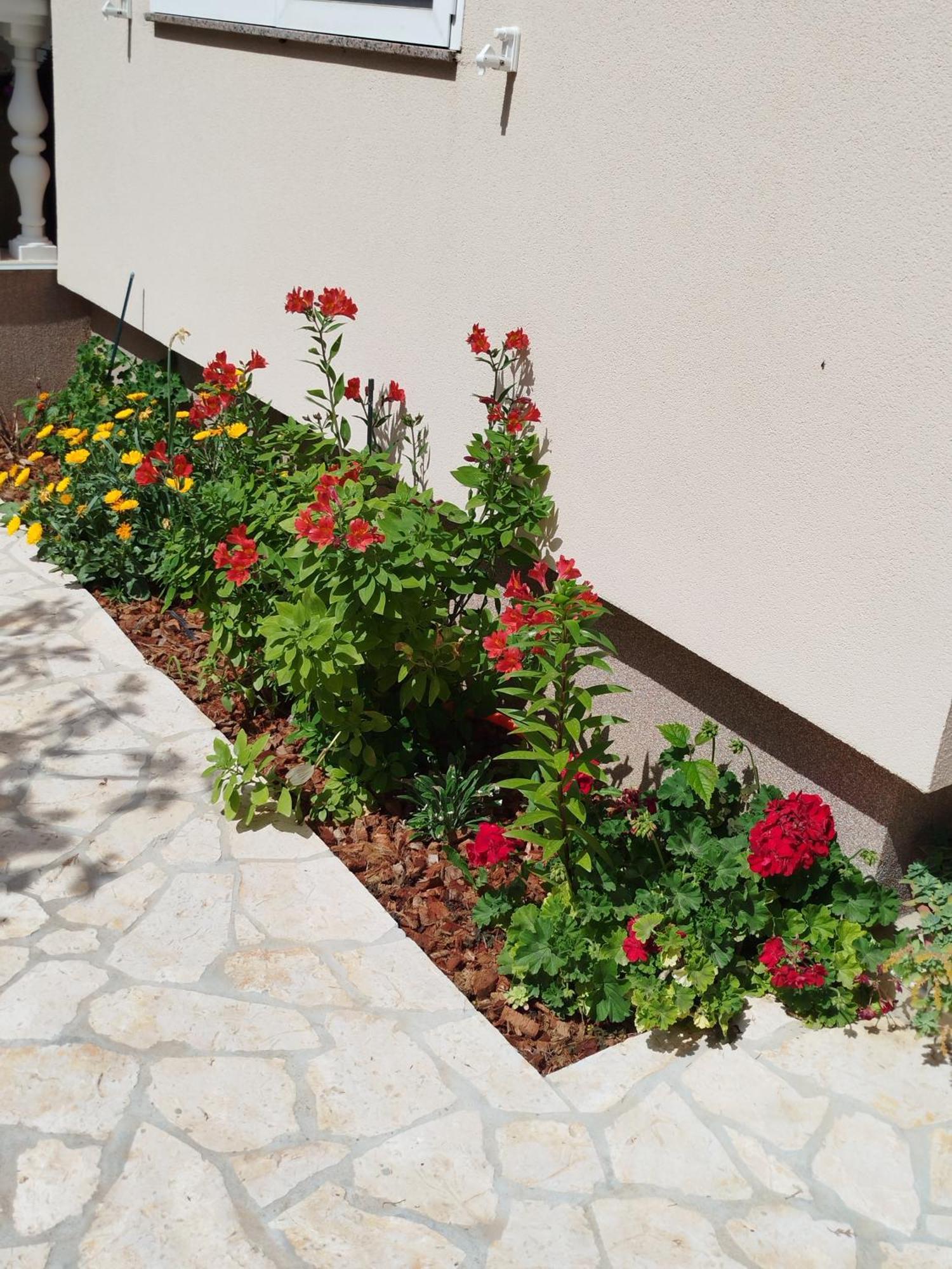 Apartments Juric Privlaka (Zadar) Exterior foto